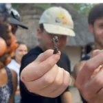 A Gap Year in South Africa: Thrilling Experiences Await