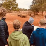 Cultural Immersion in South Africa During Your Gap Year