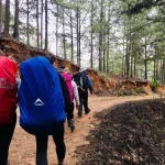 The Ins and Outs of Summer Quest