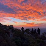 The Ultimate Guide to Choosing the Right Gap Year Program